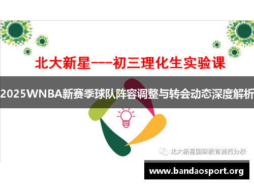 2025WNBA新赛季球队阵容调整与转会动态深度解析