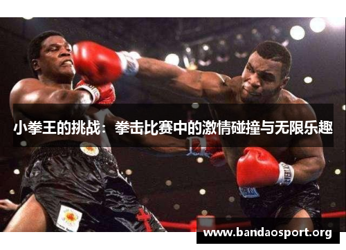 小拳王的挑战：拳击比赛中的激情碰撞与无限乐趣