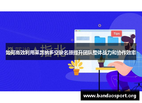 如何高效利用莱昂纳多空缺名额提升团队整体战力和协作效率
