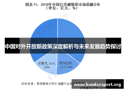 中国对外开放新政策深度解析与未来发展趋势探讨