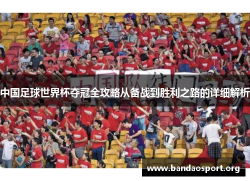 中国足球世界杯夺冠全攻略从备战到胜利之路的详细解析