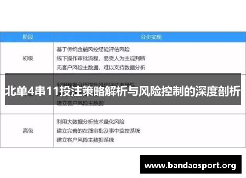北单4串11投注策略解析与风险控制的深度剖析