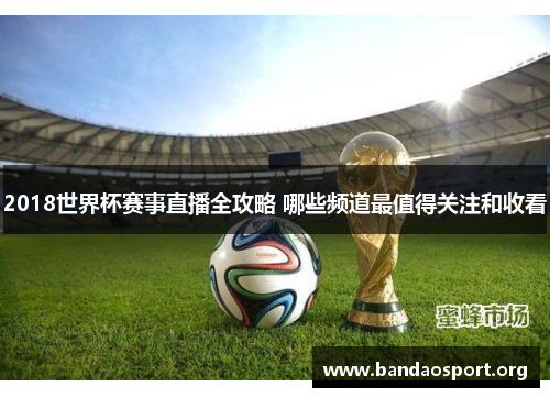 2018世界杯赛事直播全攻略 哪些频道最值得关注和收看