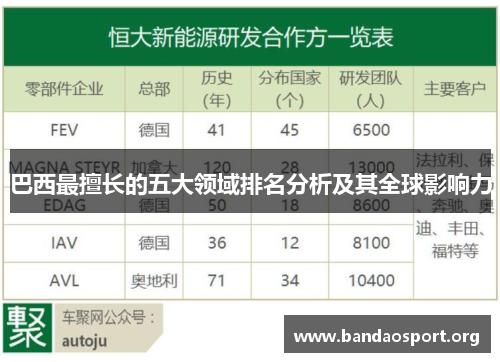 巴西最擅长的五大领域排名分析及其全球影响力