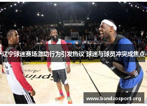 辽宁球迷赛场激动行为引发热议 球迷与球员冲突成焦点