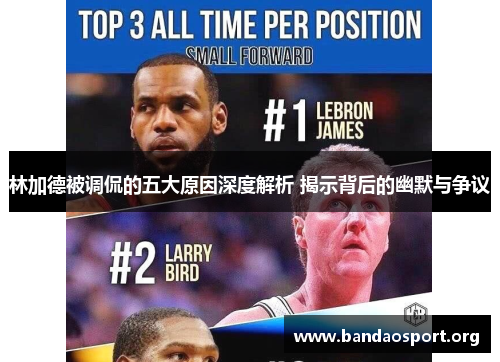 林加德被调侃的五大原因深度解析 揭示背后的幽默与争议