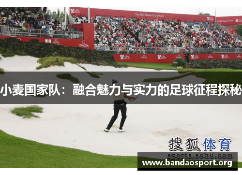 小麦国家队：融合魅力与实力的足球征程探秘